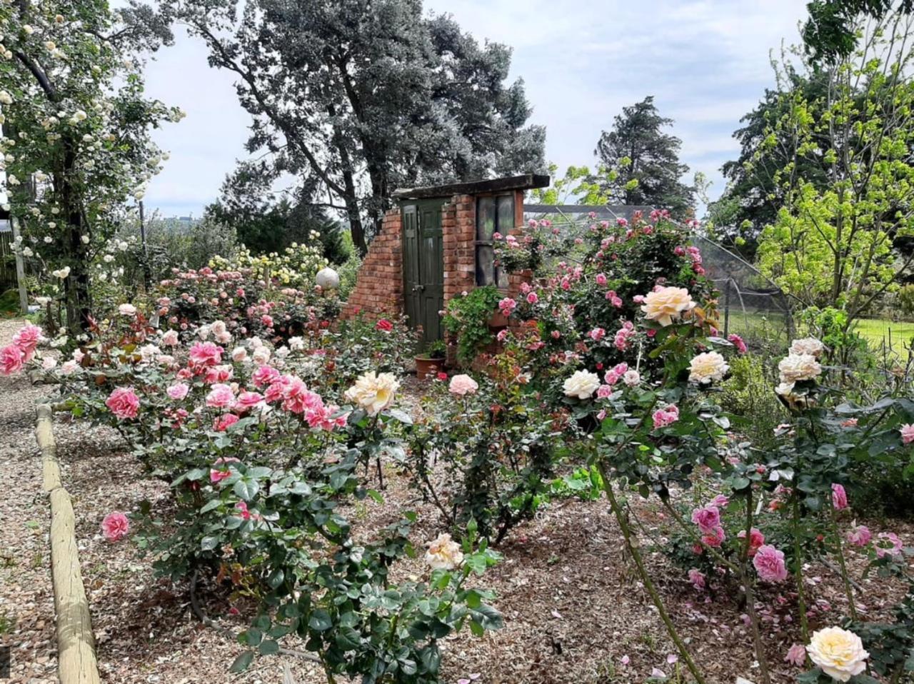 Ama Casa Cottages Champagne Valley ภายนอก รูปภาพ